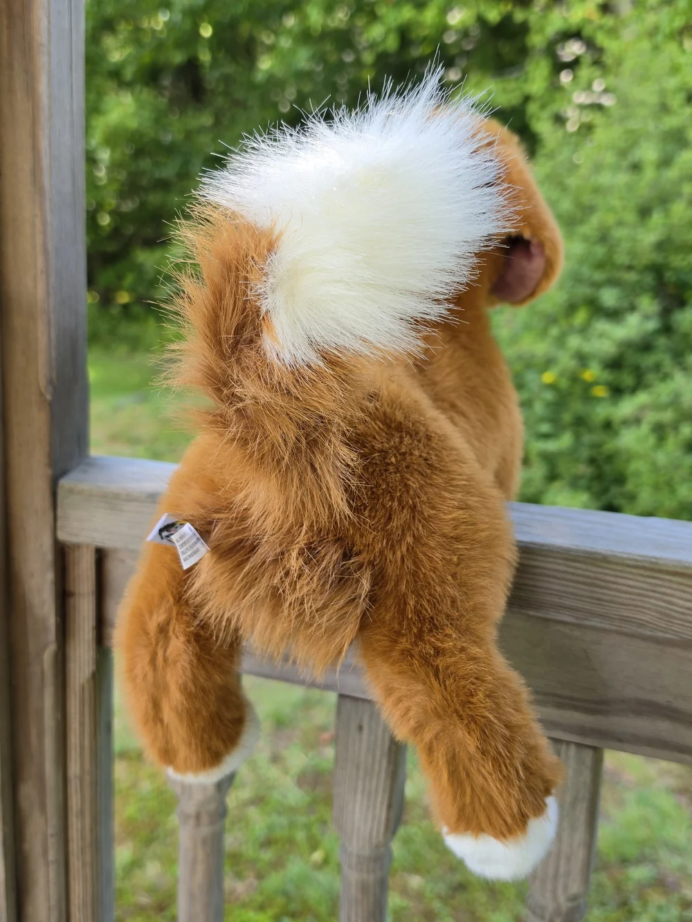 Bass Pro Shops Duck Tolling Retriever Stuffed Dog By Douglas